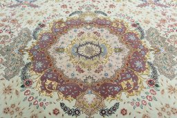 Central medallion detail of 2000s Tabriz 50/60/70 Raj rug from Iran / Persia