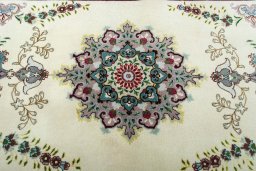 Central medallion detail of 2000s Tabriz 50/60/70 Raj rug from Iran / Persia