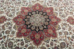 Central medallion detail of 2000s Tabriz 50/60/70 Raj rug from Iran / Persia