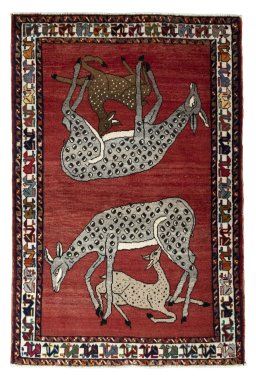 Full view of 2000s Persian Gabbeh rug from Iran / Persia, 153 × 101 cm in Red tones