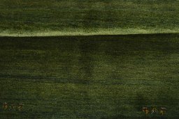Full view of New Persian Gabbeh rug from Iran / Persia, 208 × 149 cm in Green tones