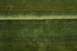 Full view of New Persian Gabbeh rug from Iran / Persia, 200 × 155 cm in Green tones