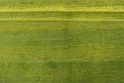 Full view of New Persian Gabbeh rug from Iran / Persia, 245 × 178 cm in Green tones