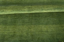 Full view of New Persian Gabbeh rug from Iran / Persia, 203 × 142 cm in Green tones