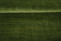Full view of New Persian Gabbeh rug from Iran / Persia, 238 × 162 cm in Green tones