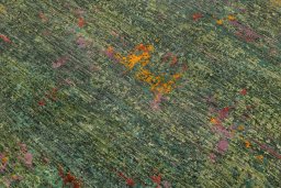 Corner detail of New Mahli rug showing border pattern and Wool pile