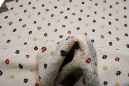 Surface texture of New Morocco rug with natural Wool and intricate pattern