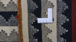 Full view of 1950s Kilim Jajim rug from Iran / Persia, 275 × 168 cm in Multi Color tones