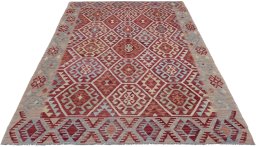 Full view of New Modern Design rug from Pakistan, 241 × 171 cm in Multi Color tones