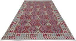 Full view of New Modern Design rug from Pakistan, 286 × 197 cm in Multi Color tones