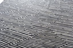 Surface texture of New Modern Design rug with natural Wool and intricate pattern