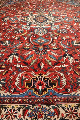 Full view of 1900s Bakhtiar rug from Iran / Persia, 673 × 476 cm in Dark red tones