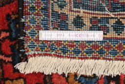 Full view of 1900s Bakhtiar rug from Iran / Persia, 427 × 310 cm in Red tones