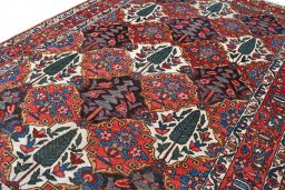 Corner detail of 1950s Bakhtiar rug showing border pattern and Wool pile