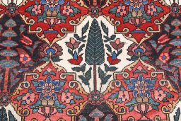 Surface texture of 1950s Bakhtiar rug with natural Wool and intricate pattern