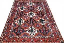 Surface texture of 1950s Bakhtiar rug with natural Wool and intricate pattern