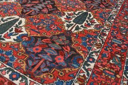 Full view of 1950s Bakhtiar rug from Iran / Persia, 208 × 139 cm in Red tones