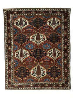 Full view of 1950s Bakhtiar rug from Iran / Persia, 192 × 154 cm in Red tones