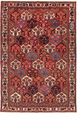 Full view of 1970s Bakhtiar rug from Iran / Persia, 285 × 190 cm in Multi Color tones