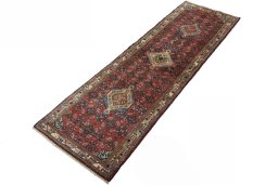 Corner detail of 2000s Hamedan rug showing border pattern and Wool pile