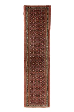 Full view of New Hamedan rug from Iran / Persia, 287 × 75 cm in Red tones
