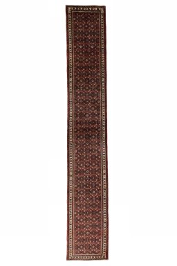 Full view of New Hamedan rug from Iran / Persia, 490 × 78 cm in Red tones