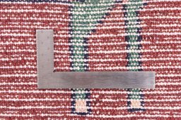 Corner detail of 1996s Hamedan rug showing border pattern and Wool pile