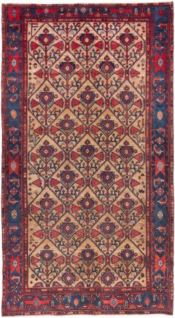 Full view of 1973s Koliai rug from Iran / Persia, 290 × 154 cm in Cream tones
