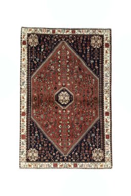 Full view of 2000s Shiraz rug from Iran / Persia, 170 × 110 cm in Red tones
