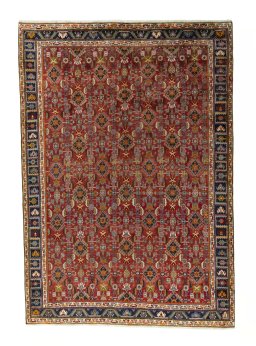 Full view of 2000s Shiraz rug from Iran / Persia, 307 × 213 cm in Red tones