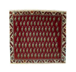 Full view of 2000s Shiraz rug from Iran / Persia, 57 × 62 cm in Red tones