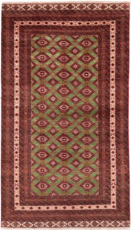 Full view of 1995s Torkaman rug from Iran / Persia, 172 × 98 cm in Green tones