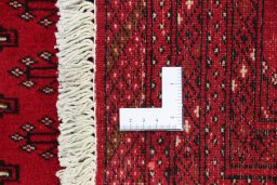 Full view of 2000s Torkaman rug from Iran / Persia, 125 × 65 cm in Red tones