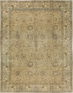 Full view of 1940s Vintage rug from Iran / Persia, 367 × 290 cm in Beige tones