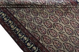 Full view of 1930s Hamedan rug from Iran / Persia, 300 × 174 cm in Beige tones