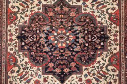 Central medallion detail of 1900s Farahan rug from Iran / Persia