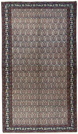 Full view of 1930s Hamedan rug from Iran / Persia, 300 × 174 cm in Beige tones