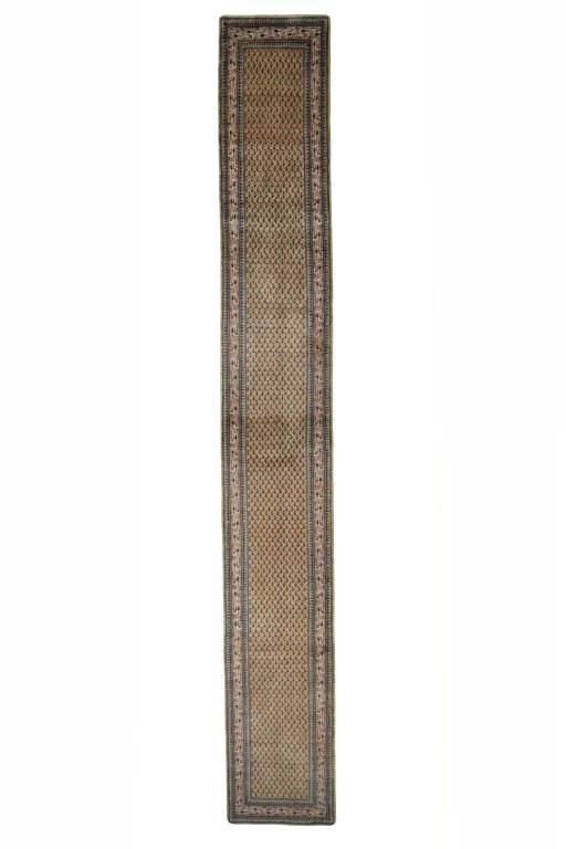 SAROGHMIR