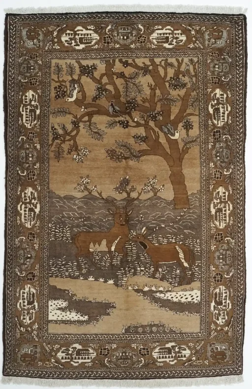 Tabriz Old