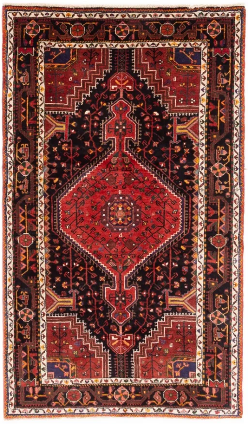 Malayer Semi Neuf