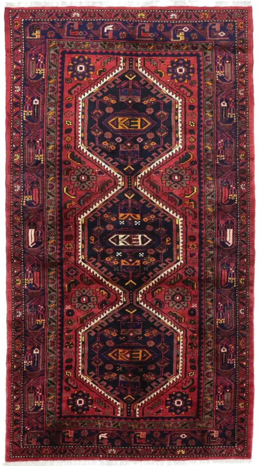 Malayer