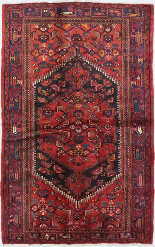 Malayer