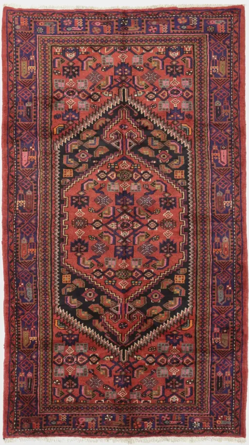 Malayer