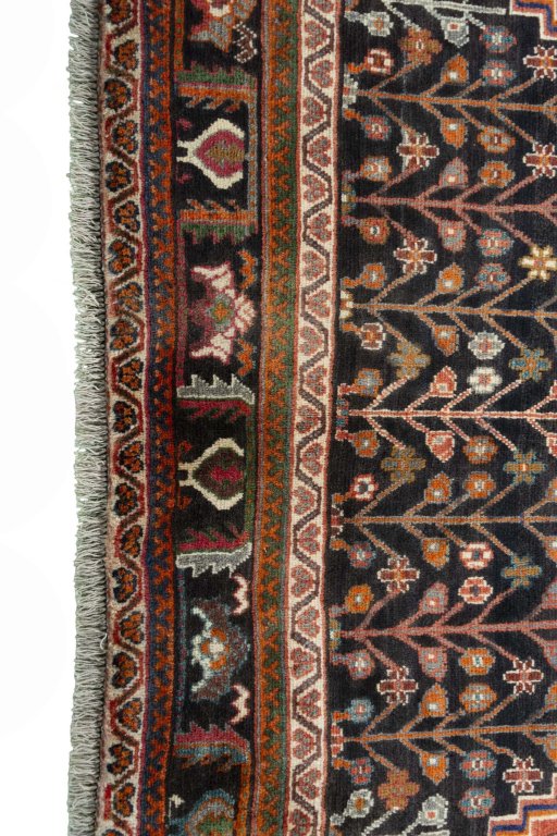 SHIRAZ