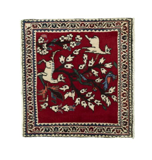 SHIRAZ