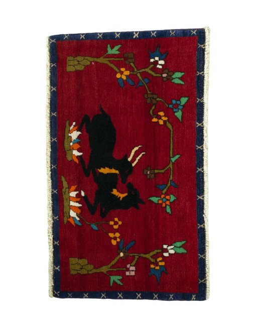 SHIRAZ