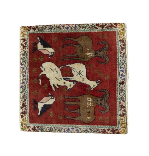 SHIRAZ