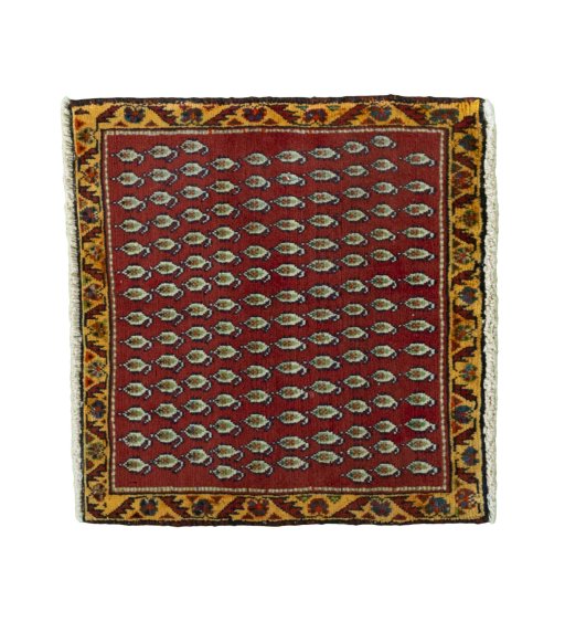 SHIRAZ