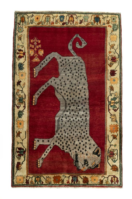 SHIRAZ