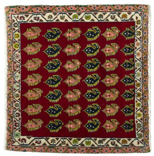 SHIRAZ